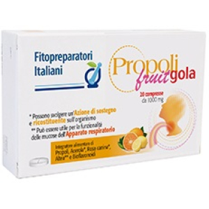 propoli fruit gola 20 compresse bugiardino cod: 934831241 