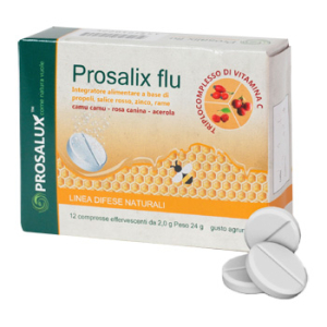 prosalix flu 12 compresse effervescenti bugiardino cod: 975010226 