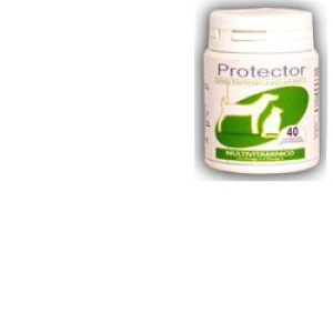 protector mulvit 40 compresse bugiardino cod: 902509900 