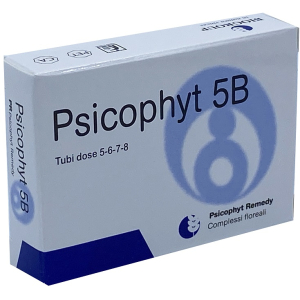 psicophyt remedy 5b 4 tubetti 1,2g bugiardino cod: 904736788 