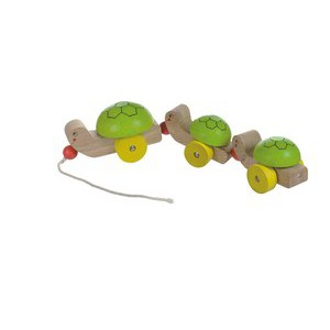 PULL ALONG TURTLE FAMILY