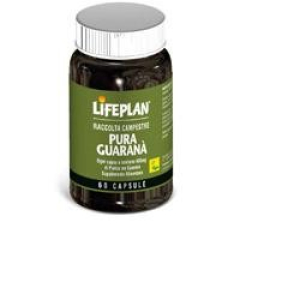 pura guarana 60 capsule 600mg bugiardino cod: 909380925 