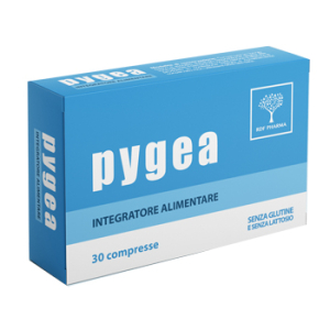 pygea 30 compresse bugiardino cod: 978476620 