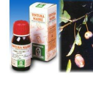 quercia tm 50ml bugiardino cod: 935027654 