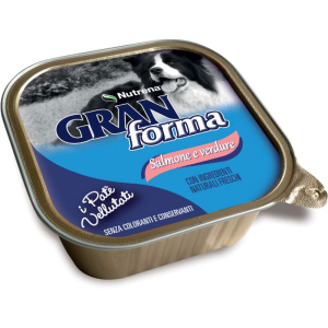 Cerca Offerte di raggio di sole gran forma cane pate' salmone verdure 300gr (vaschetta) e acquista online