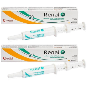 Cerca Offerte di renal p pasta siringa dosatrice 15 ml 2x15 ml e acquista online