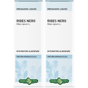 Cerca Offerte di ribes nero foglie soluzione idroalcolica ebv 2x50 ml orale e acquista online