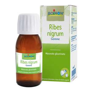 ribes nigrum 7ch gr bugiardino cod: 800378642 