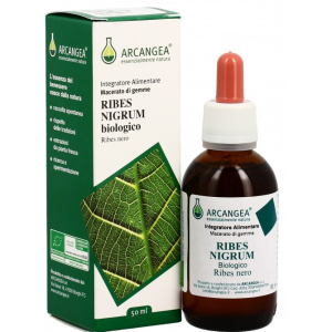 ribes nigrum gd 33 bio 100ml bugiardino cod: 981445240 