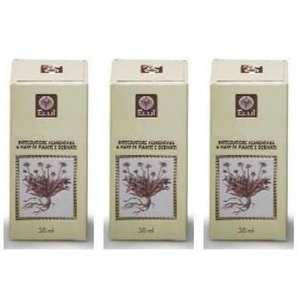 Cerca Offerte di Rosa Canina Gemme Analcolico 50 ml Ml Gocce Orali e acquista online