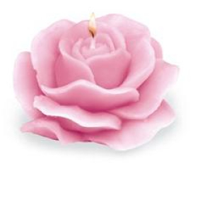 rosa rosae candela prof bugiardino cod: 905079570 