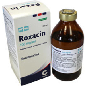roxacin*iniet 250ml 100mg/ml bugiardino cod: 104264015 