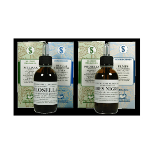 salix alba amenti 60ml mg bugiardino cod: 911189660 