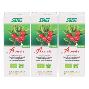 Cerca Offerte di salus haus acerola succo set da 3 3x200 ml soluzione orale e acquista online