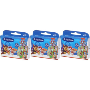 Cerca Offerte di salvelox paw patrol cerotti misti 3x20 st e acquista online