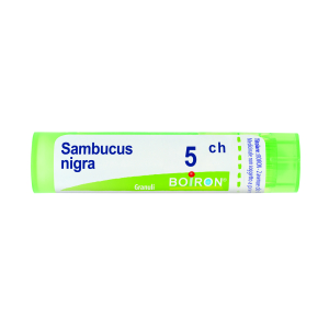 sambucus nigra 5ch 80gr 4g bugiardino cod: 046099622 