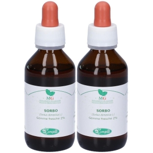 Cerca Offerte di sangalli sorbo macerato glicerico gocce 2x100 ml soluzione orale e acquista online