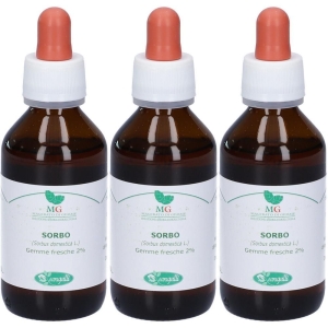 Cerca Offerte di sangalli sorbo macerato glicerico gocce 3x100 ml soluzione orale e acquista online