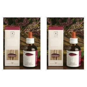 Cerca Offerte di santiveri fagus sylvatica estratto gliceroalcolico gocce 2x50 ml soluz e acquista online