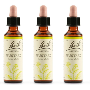 Cerca Offerte di schwabe pharma fiori di bach mustard 3x20 ml gocce orali e acquista online