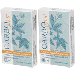 Cerca Offerte di sella carbogas compresse set da 2 2x27,5 g e acquista online