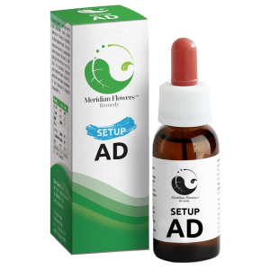 Setup ad 10 ml meridian flowers remedy