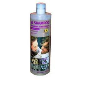 shampoo normale antiforfora sec 1lt bugiardino cod: 910531692 