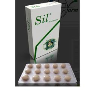 sil silimarina+vitamina e 450g bugiardino cod: 905737401 