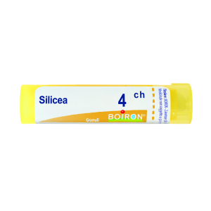 silicea 4ch gr bugiardino cod: 800024984 