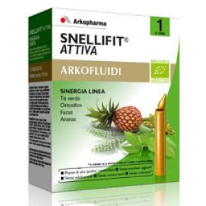 snellifit sinergia attiva bio bugiardino cod: 924041700 