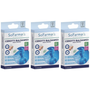 Cerca Offerte di sofarmapiu' cerotto balsamico 6 pz spray e acquista online