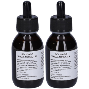 Cerca Offerte di solidago virga a tm gocce100ml 2x100 ml gocce orali e acquista online