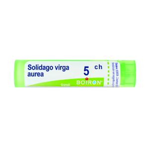 solidago virga aurea 5ch gr bugiardino cod: 800025052 