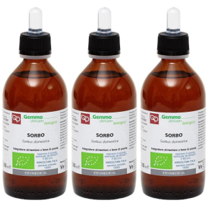 Cerca Offerte di Sorbo Macerato Glicerico 200 ml Bio 3x200 ml Gocce Orali e acquista online