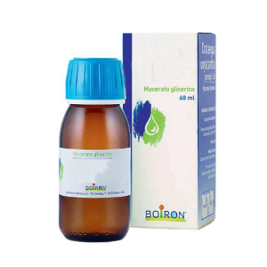 sorbus domestica gemme 60ml mg bugiardino cod: 800028084 