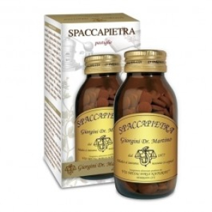 spaccapietra 140 pastiglie bugiardino cod: 978863367 