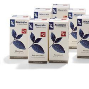 SPIREA ULMARIA TM 100ML