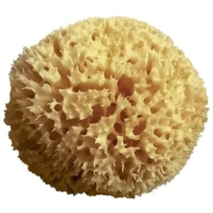Cerca Offerte di spugna mare naturale arcipelago 12 cm e acquista online