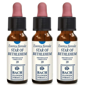 Cerca Offerte di star of bethlehem 10ml gtt 3x10 ml gocce orali e acquista online