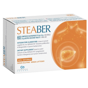 steaber 60cpr gastroprotette bugiardino cod: 984513667 