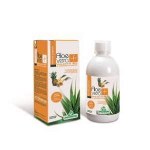 succo aloevera+ anan/pap 500ml bugiardino cod: 927256457 