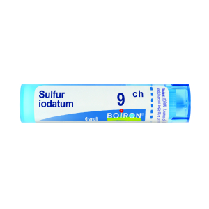 sulfurum iodatum 9ch 80gr 4g bugiardino cod: 046213169 