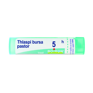 thlaspi bursa past 5ch gr bugiardino cod: 800290379 