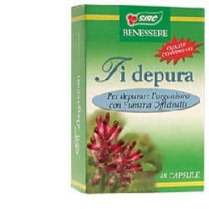 ti depura 48 capsule bugiardino cod: 904570189 