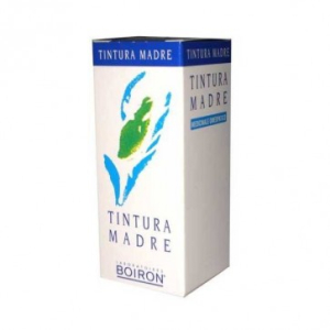 urtica dioica 60ml tm bugiardino cod: 800230652 