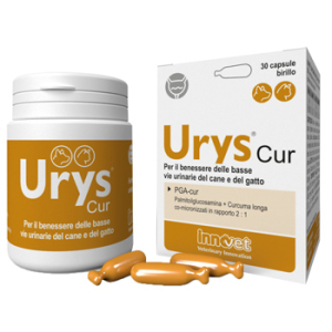 urys caps 30 capsule bugiardino cod: 982683068 