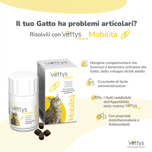 vettys integra mobilita gatto bugiardino cod: 983705599 