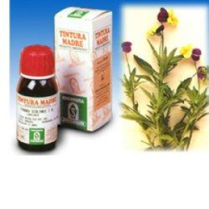 viola tm 50ml bugiardino cod: 935021055 