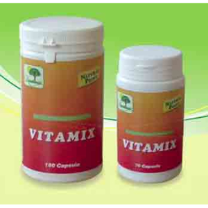natural point vitamix integratore vitaminico bugiardino cod: 931045660 