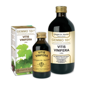 vite liquido anal gemmo 10+ bugiardino cod: 924297981 